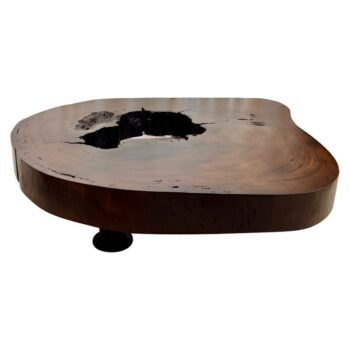 Solid Tree Trunk Coffee Table Made of a Thick Cross Section of Vinhatico Wood