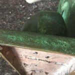 Silvana Maisano Bronze Study for the San Francisco Museum of Modern Art