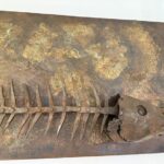 Signed Iron Fish Sculpture by Lachaize