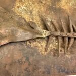 Signed Iron Fish Sculpture by Lachaize