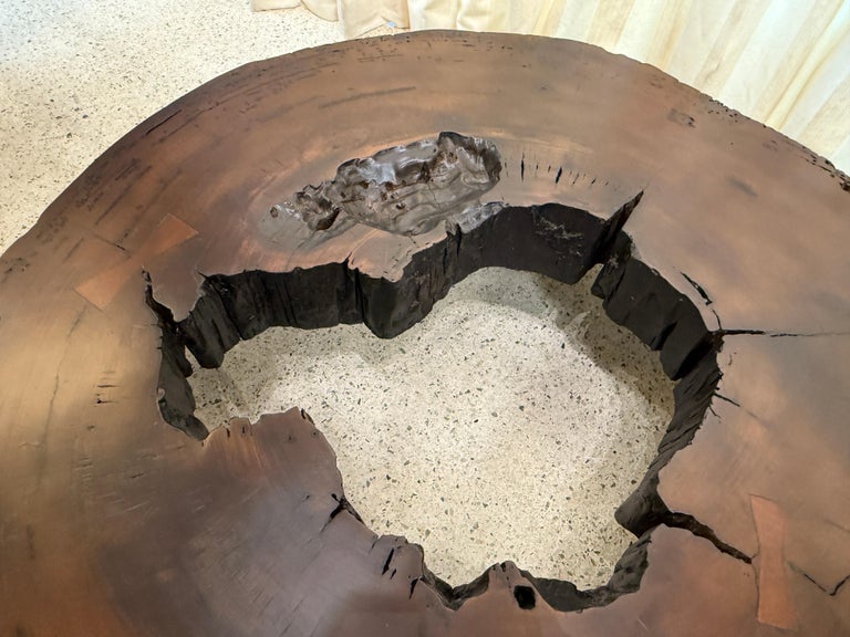 Solid Tree Trunk Coffee Table Made of a Thick Cross Section of Vinhatico Wood