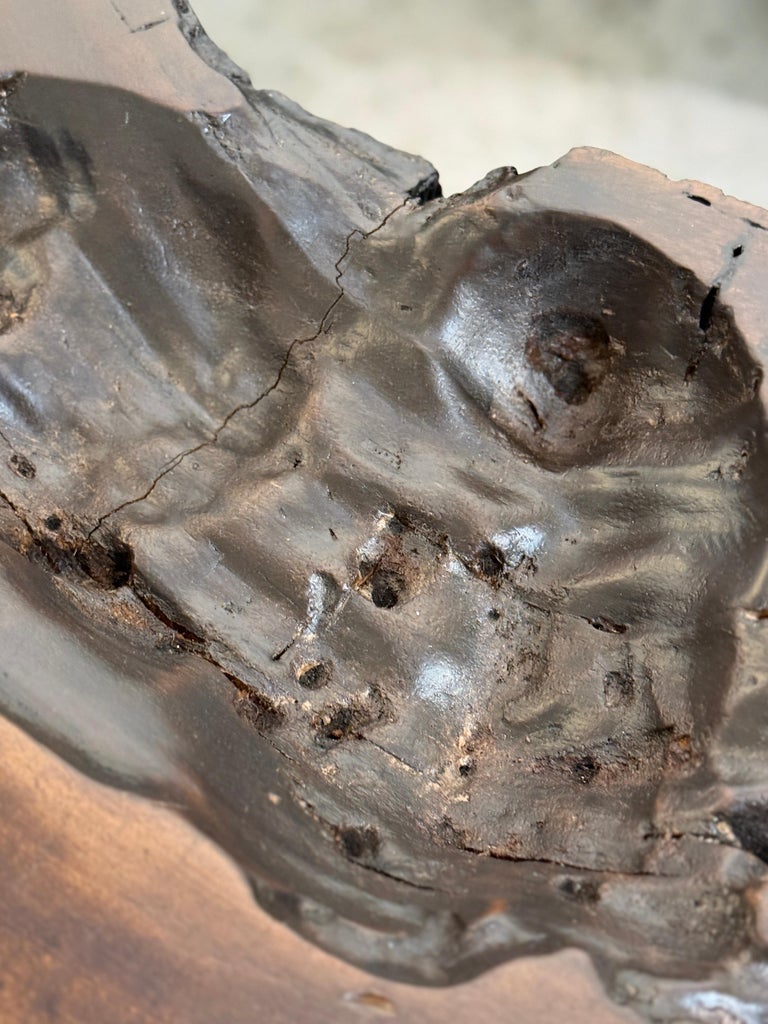 Solid Tree Trunk Coffee Table Made of a Thick Cross Section of Vinhatico Wood