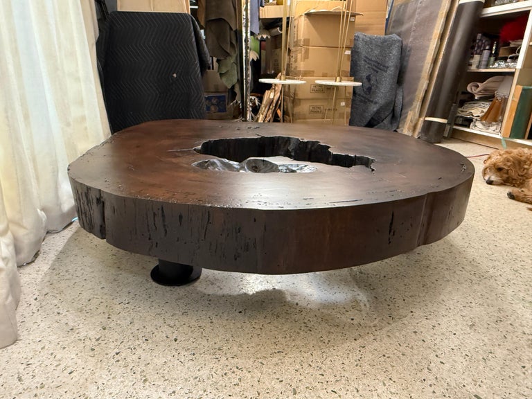 Solid Tree Trunk Coffee Table Made of a Thick Cross Section of Vinhatico Wood