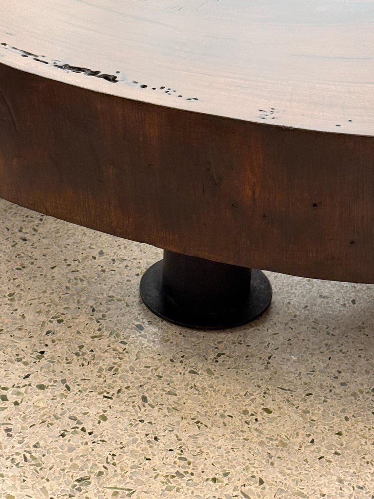 Solid Tree Trunk Coffee Table Made of a Thick Cross Section of Vinhatico Wood