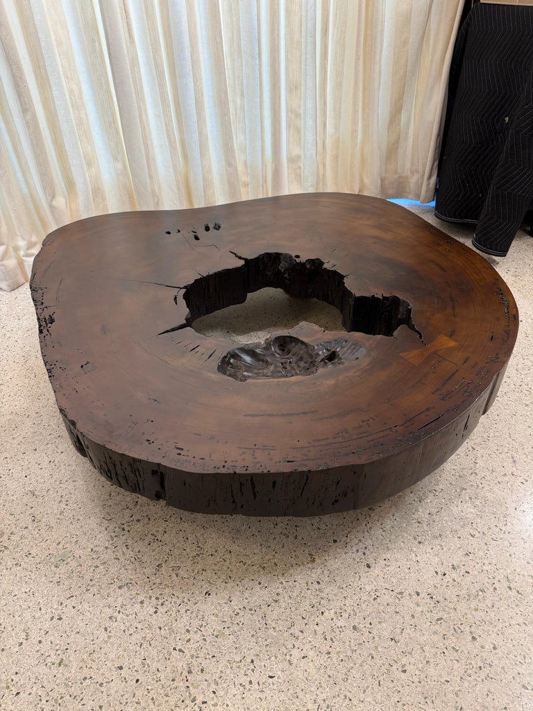 Solid Tree Trunk Coffee Table Made of a Thick Cross Section of Vinhatico Wood
