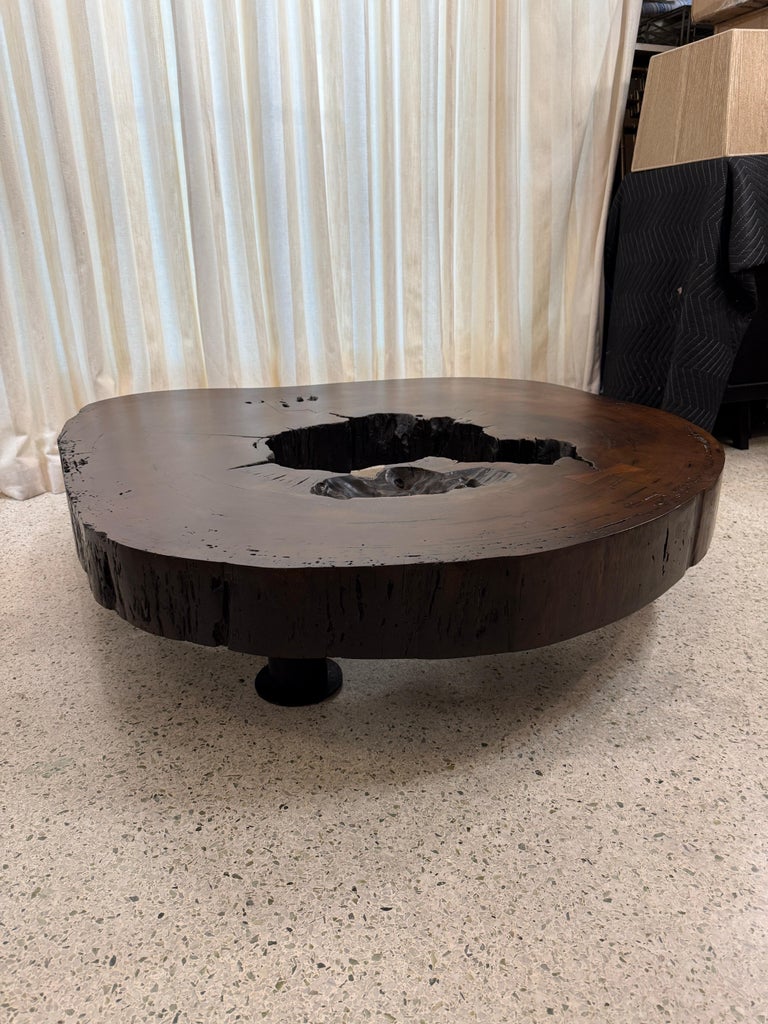 Solid Tree Trunk Coffee Table Made of a Thick Cross Section of Vinhatico Wood